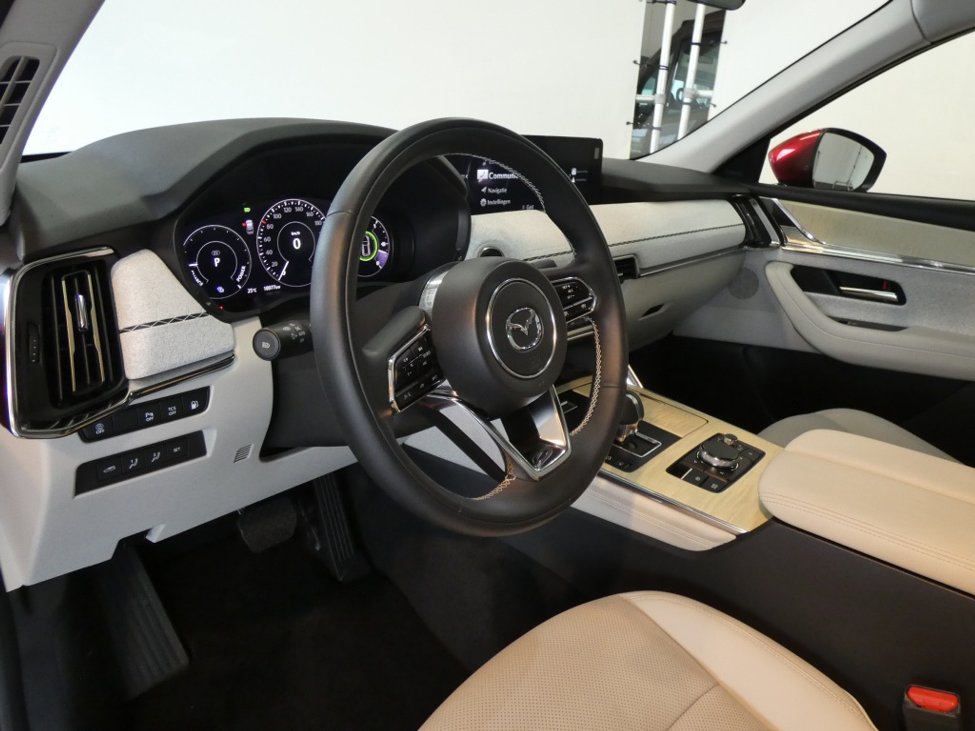 45870464-15.jpg