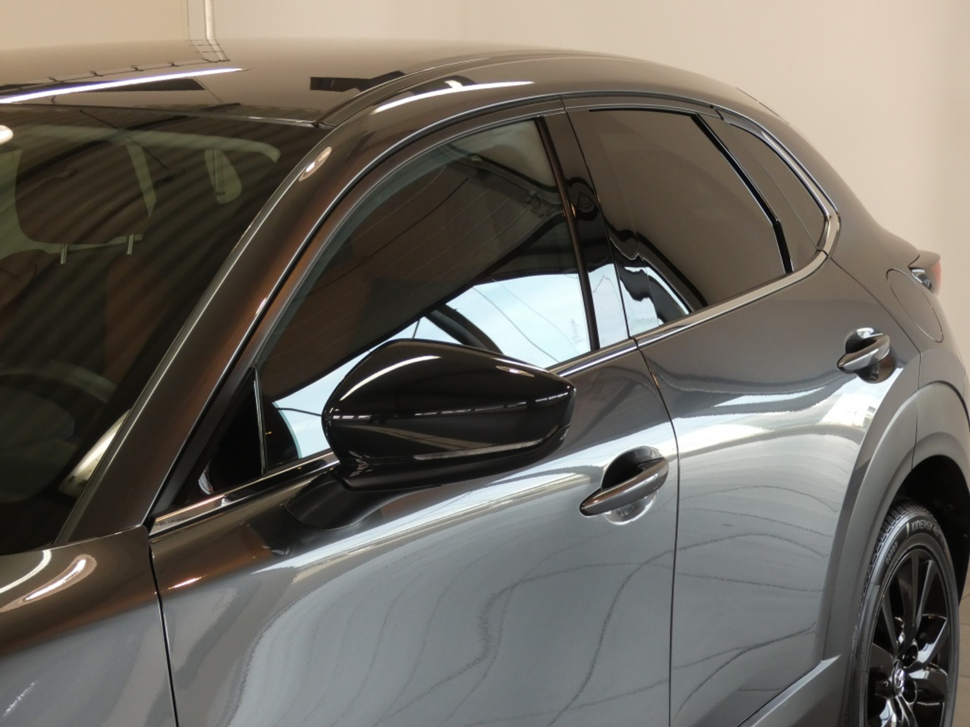 48563254-10.jpg