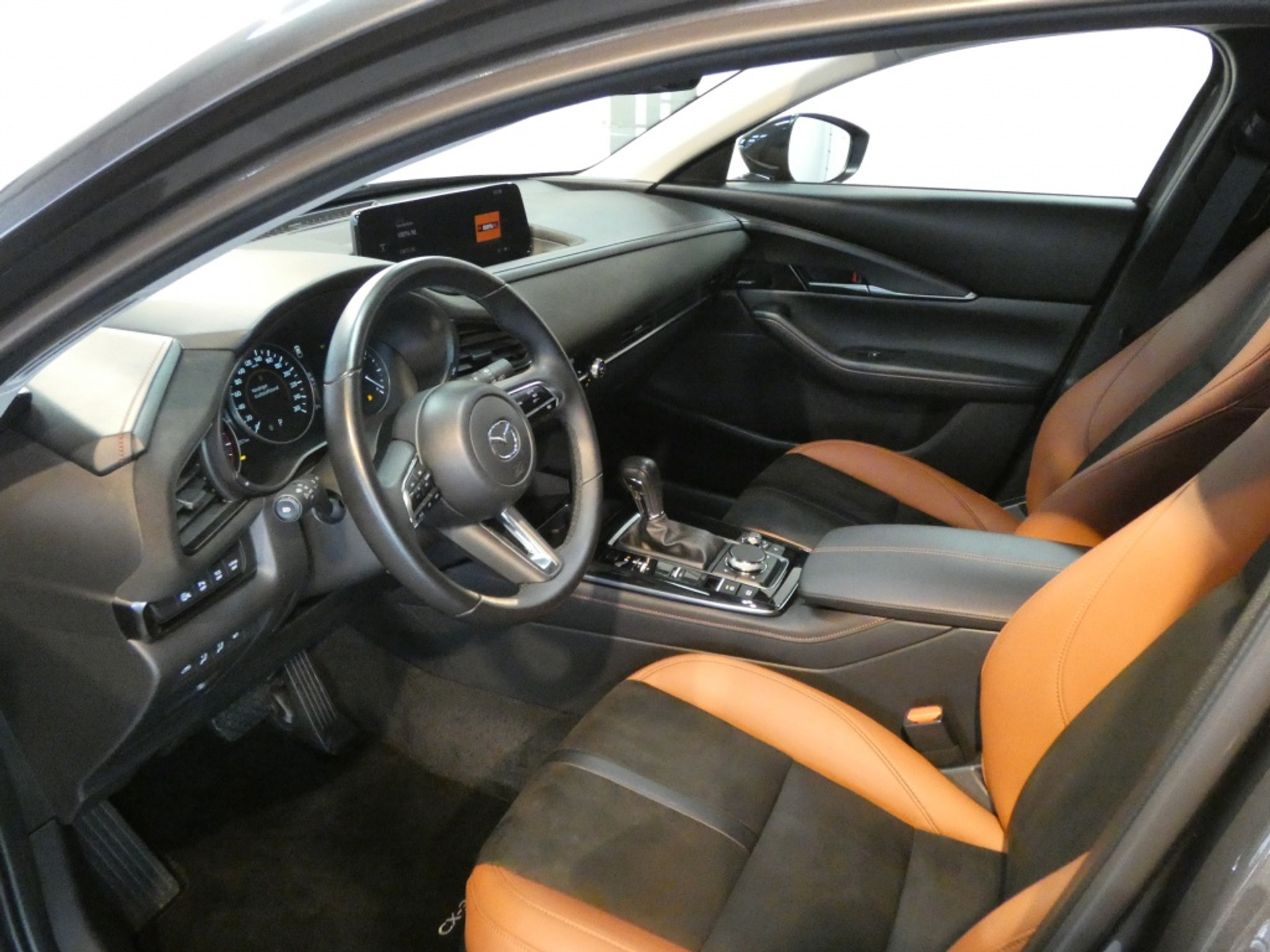 48563254-11.jpg
