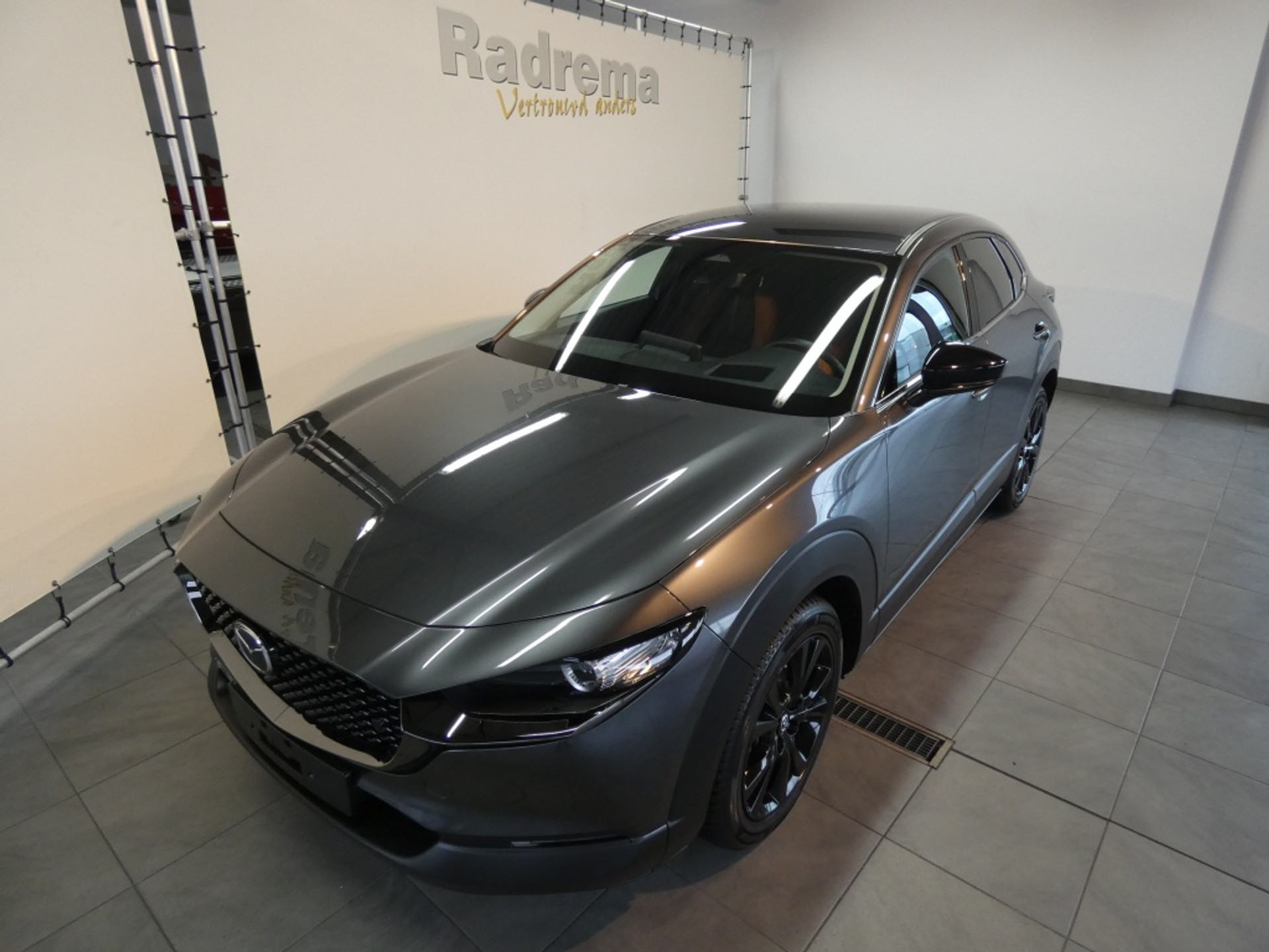 48563254-5.jpg