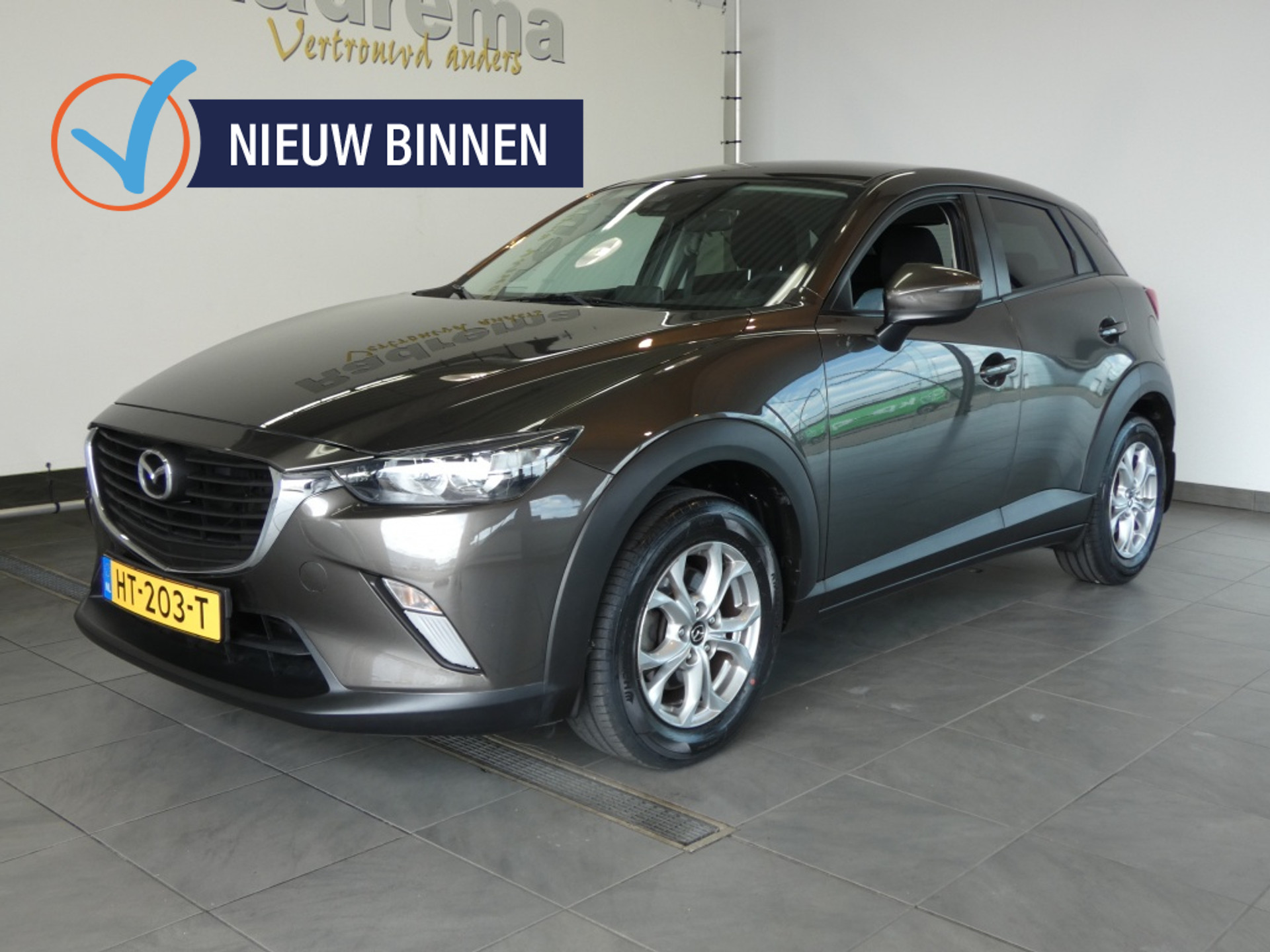 53291446