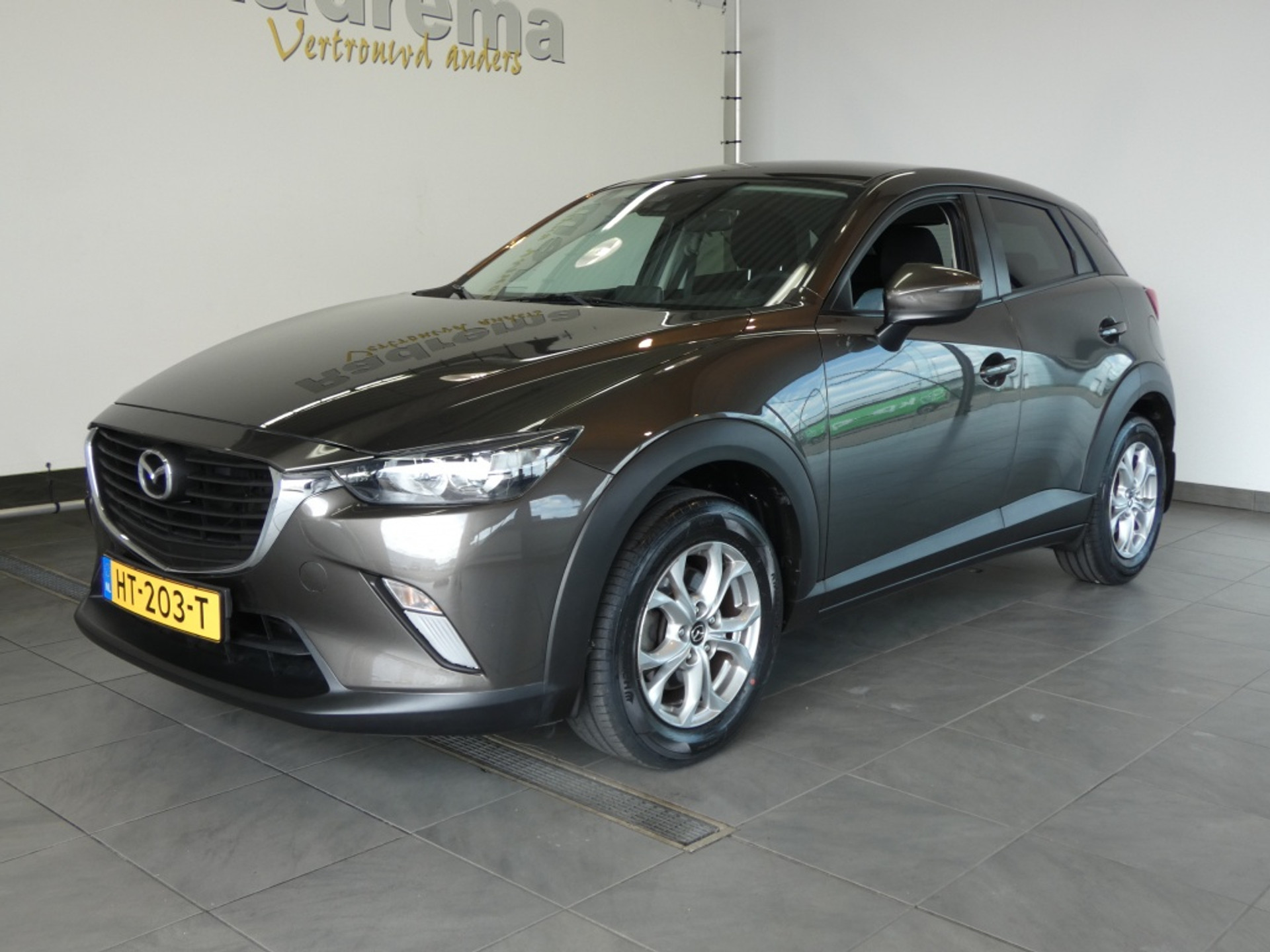 53291446